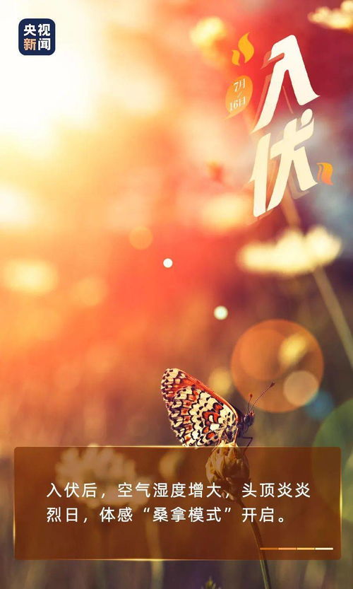 今年什么时候入伏是哪一天