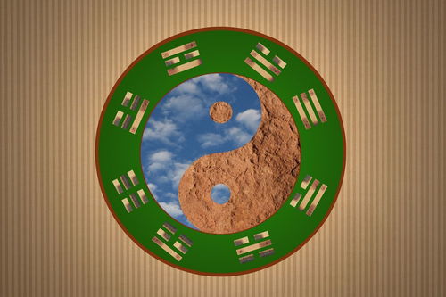 离卦代表什么生肖，六爻离卦代表什么