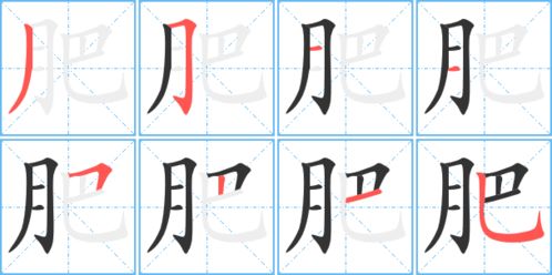 腿的笔顺序，服的笔顺