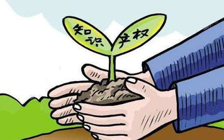 法律拟制和注意规定，法律拟制的罪名有哪些