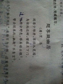 诗的意思?，诗的意思是什么?