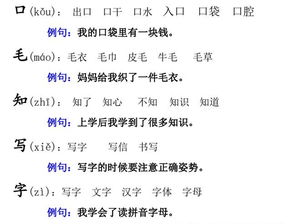 造的组词组，造的组词造句的造的组词