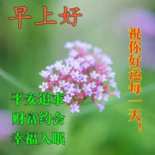 问候是什么意思