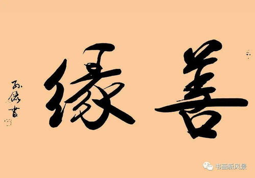 善缘什么意思?