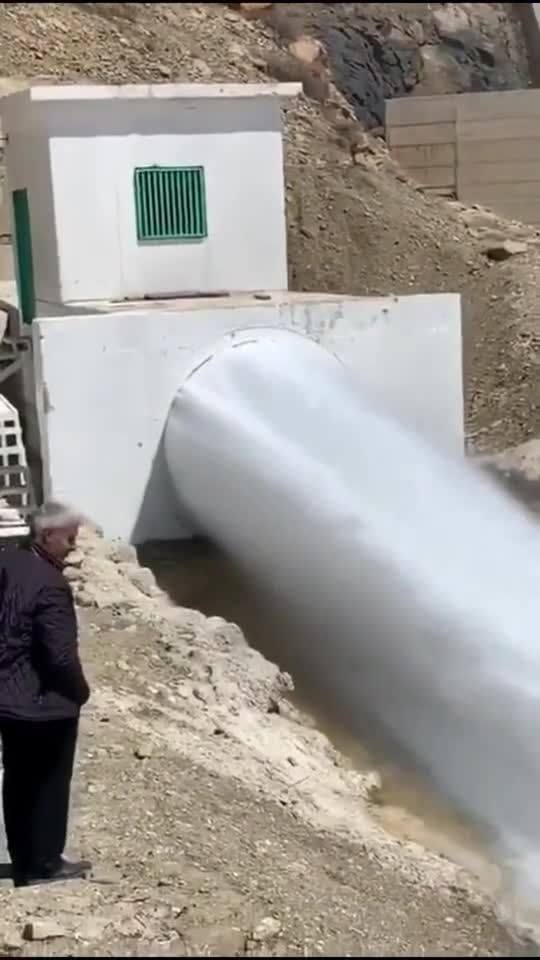 放水怎么了小说，放水怎么了讲的什么