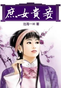 贵妾是什么意思