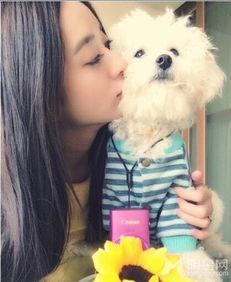 温婉反义词粗犷，温婉的反义词可以是粗犷吗