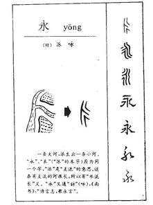 永的组词有哪些词语