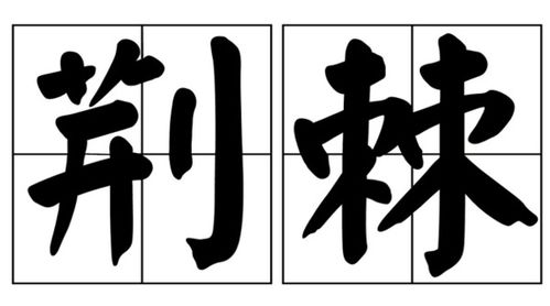 荆棘什么意思