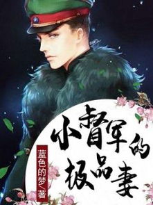 军阀小说