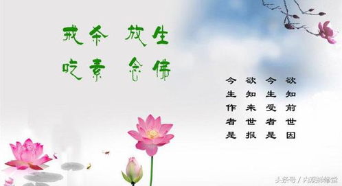 随喜是什么意思，随喜赞叹是什么意思 视频