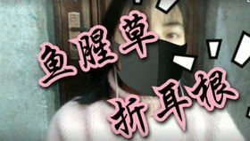迅雷不及掩耳是什么意思