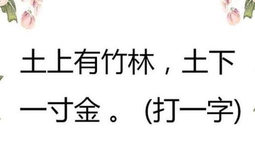 土上有竹林土下一寸金猜字谜，土上有竹林土下一寸金是什么字打一字