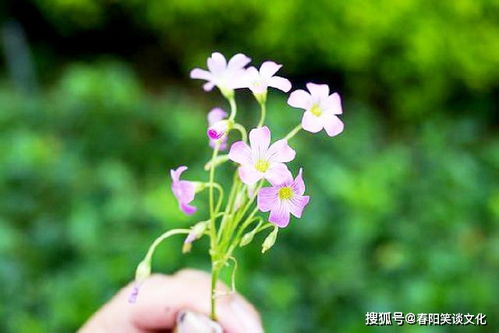 精湛的意思是什么???