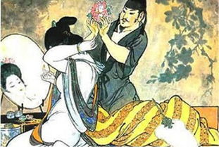 男宠是什么意思?