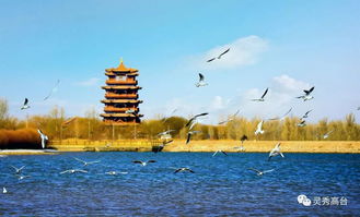 高台县，高台县天气预报