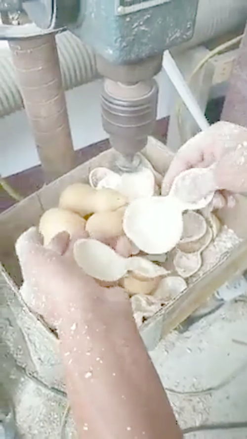 按下葫芦浮起瓢是什么意思