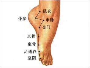 至阴至阳，至阴的准确位置图片