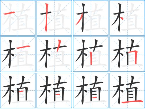 汉字“_”的意思是什么_字笔画是多少