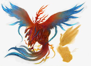鬼车鸟图片，鬼车鸟吊坠哪里有卖