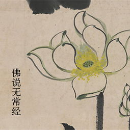 《无常经》翻译《无常经》 生者皆归死,容颜尽变衰。 强力病所侵,无能