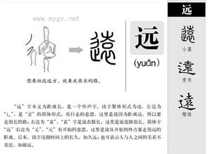 远笔顺笔画怎么写