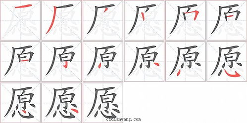 准笔顺怎么写，愿笔顺部首