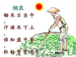 悯农的作者是谁什么朝代，悯农的作者是谁?绅字怎么读