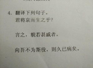 《捕蛇者说》翻译