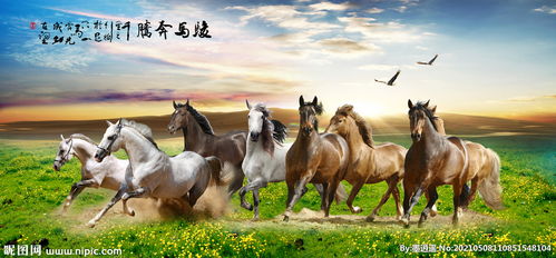 骏马图徐悲鸿，骏马图片大全图