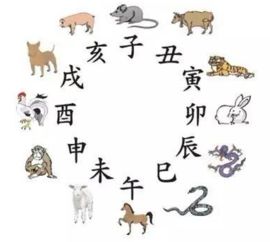 地支代表什么