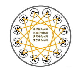 应合是什么成语