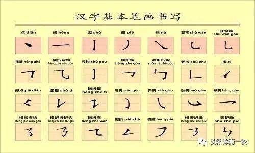 条的笔画顺序