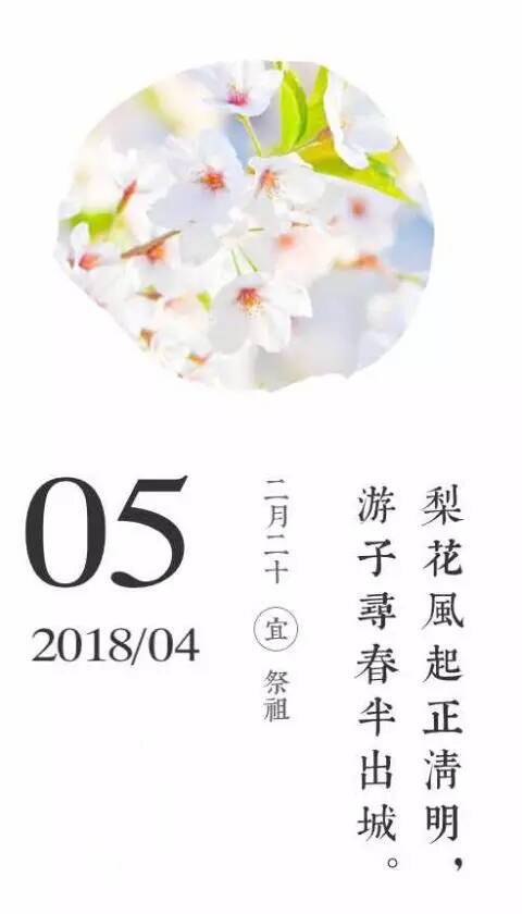 二月二十日是什么日子