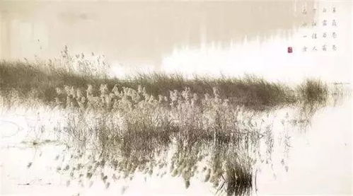 蒹葭是什么季节，蒹葭是什么诗