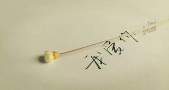 自怜顾影，自怜自爱