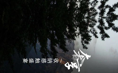 如常是什么意思