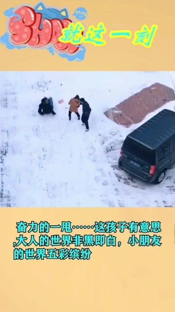 奋力的意思奋力的意思是什么