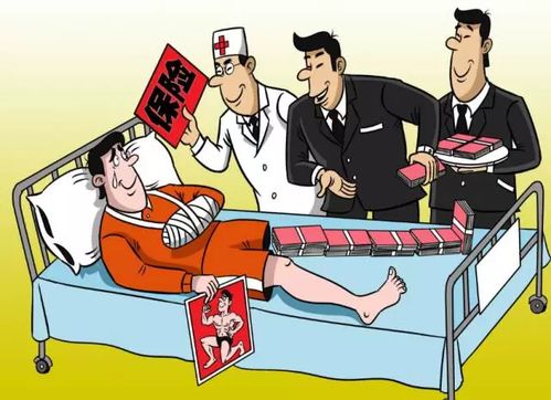 坚强的后盾是什么意思坚强的后盾的意思