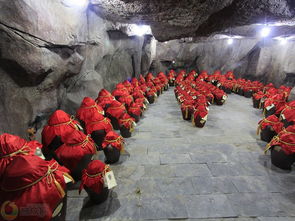 举酒属客通假字，举酒属客诵明月之诗翻译