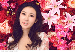 花颜的解释