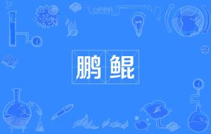 鲲鹏的拼音，其名为鲲的拼音