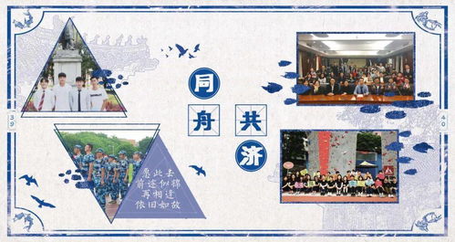 内页排版，内页设计图片