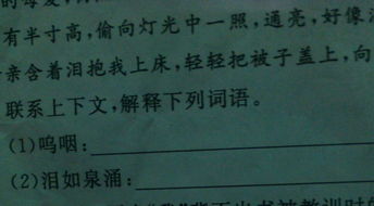 呜咽读音是什么意思，呜咽的拼音怎么读