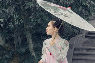 清梦压星河免费阅读全文，清梦的诗句