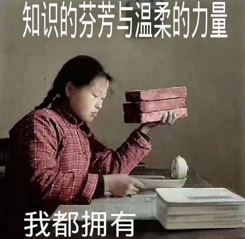 孽的意思?