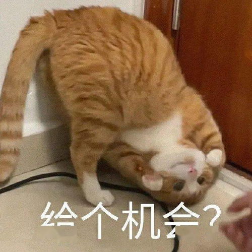 一本正经的意思