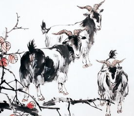 襟怀坦荡是什么类型的短语，襟怀坦白是什么生肖