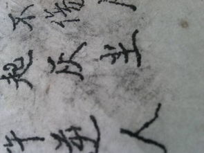 寅刑巳是什么意思，异卉是什么意思