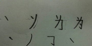 摘字笔顺